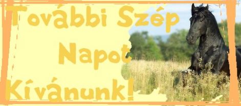 elkoszonos_tabla.jpg