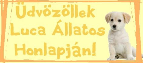 udvozlo_tabla.jpg